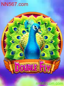 Explorando o Universo de DoubleFly: Descubra o Jogo Inovador NN567.com